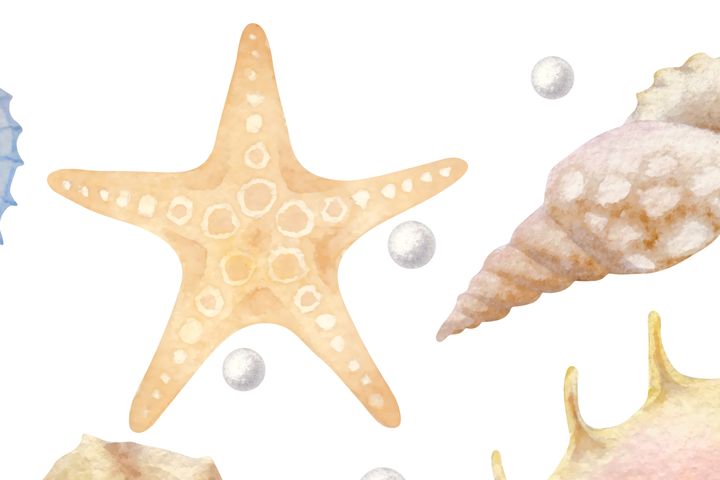 Starfish - Elementary Piano Sheet Music